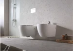 Безободковый подвесной унитаз Dusel BELISI DWHT10200930R без бачка