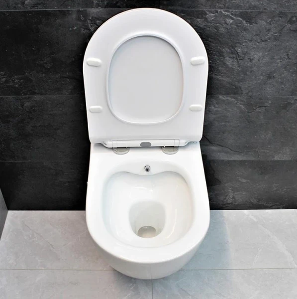 Унітаз-біде підвісний DUSEL LEVITA MIX DWHT10201130М 201130 - фото 3