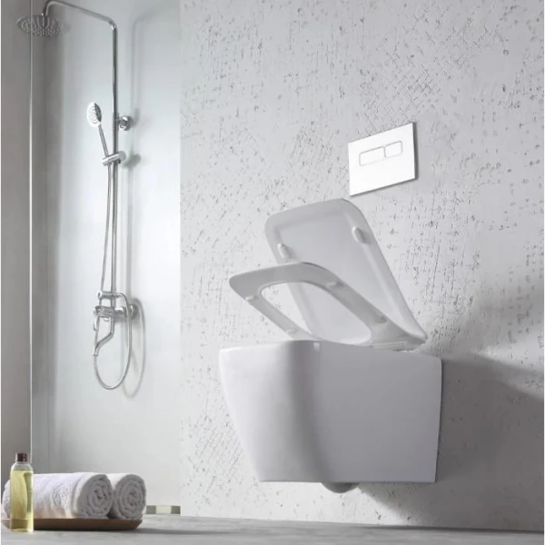 Унітаз-біде підвісний DUSEL CUBIS TERMIX DWHT10201030ТМ - фото 1