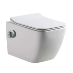 Унітаз-біде безободковый підвісний DUSEL CUBIS TERMIX DWHT10201030ТМ без бачка