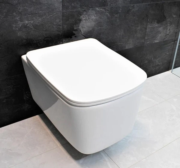 Підвісний безободковый унітаз DUSEL BYRON без бачка DWHT10202130 з сидінням Soft Close дюропластів - фото 1