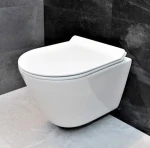 Унітаз безободковый підвісний DUSEL TERI без бачка DWHT10202330 з сидінням Soft Close дюропластів 823301