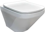 Унитаз безободковый подвесной DUSEL LEXI без бачка DWHT10201330 с сиденьем Soft Close дюропласт, 813301