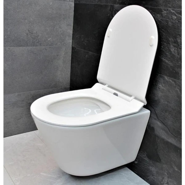 Інсталяція GROHE Rapid SL 38772001+ Унітаз підвісний DUSEL TERI DWHT10202330+ Сидіння + Панель змиву (928811) - фото 1