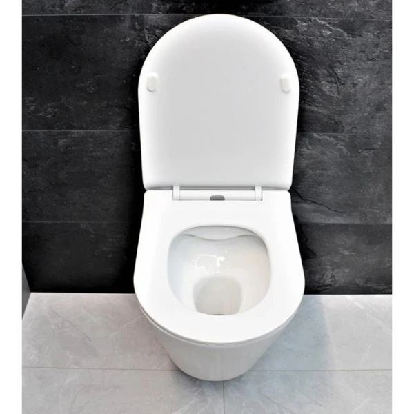 Інсталяція GROHE Rapid SL 38772001+ Унітаз підвісний DUSEL TERI DWHT10202330+ Сидіння + Панель змиву (928811) - фото 6